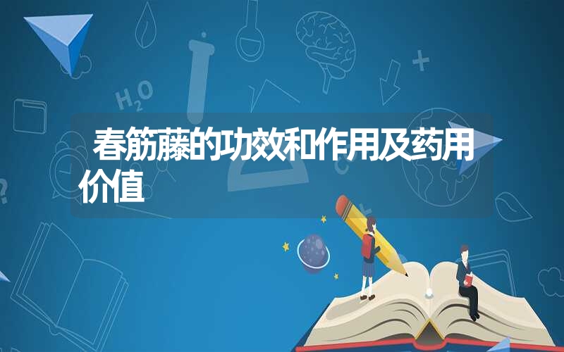 春筋藤的功效和作用及药用价值