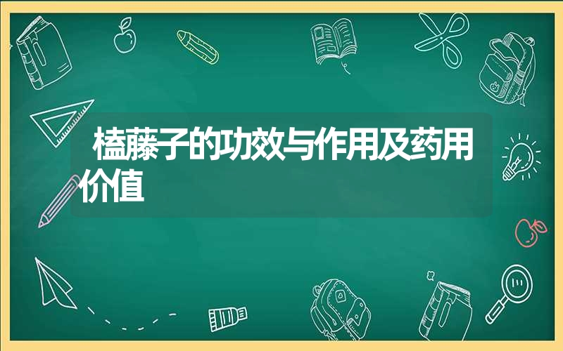 枸杞枝的功效与作用及禁忌