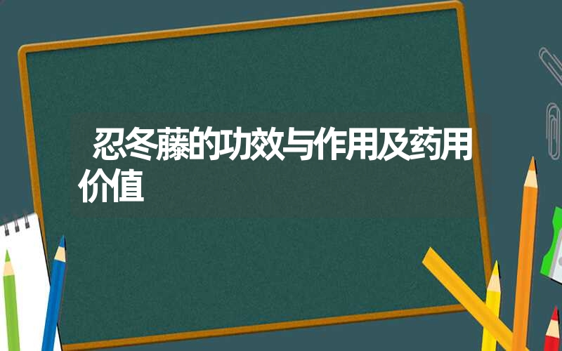 忍冬藤的功效与作用及药用价值