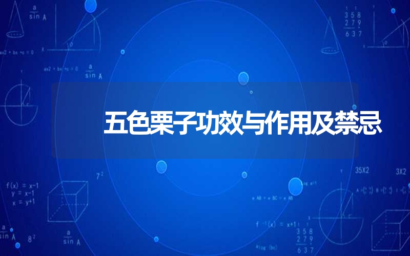 五色栗子功效与作用及禁忌