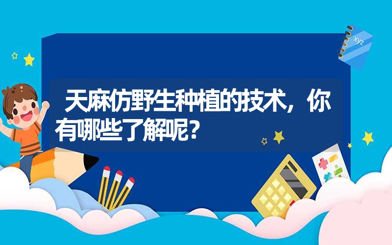 天麻仿野生种植的技术，你有哪些了解呢