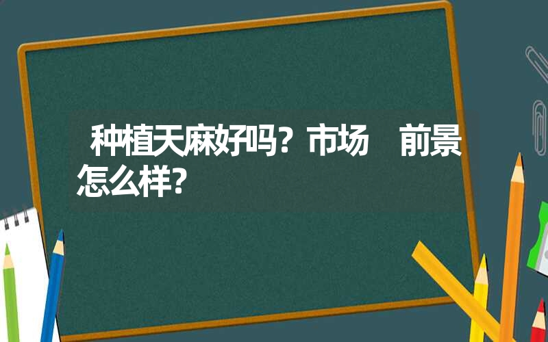 种植天麻好吗？市场 前景怎么样？