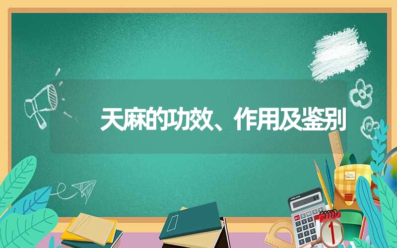 天麻的功效、作用及鉴别